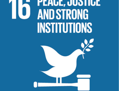 Promote peaceful and inclusive societies for sustainable development, provide access to justice for all and build effective, accountable and inclusive institutions at all levels