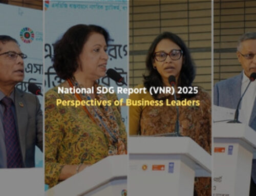 National SDG Report (VNR) 2025: Perspectives of Business Leaders
